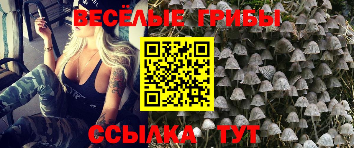 Галлюциногенные грибы ЛСД  Вход с VPN  Гусь-Хрустальный 