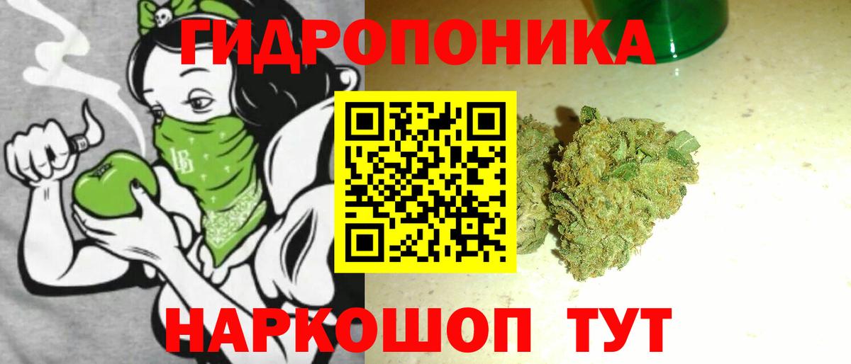 Бошки Шишки план  Канабис планчик  Бошки Шишки индика  Гусь-Хрустальный  Марихуана Ganja  Вход с VPN 